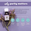 image:imageAura Cacia  Lavender Harvest Pure Essential Oil Blend  05 fl oz
