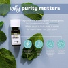 image:imageAura Cacia Aromatherapy 100 Organic Essential Oil Oregano  025 Oz Packaging May VaryPeppermint