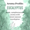 image:imageAura Cacia Body Oil Clearing Eucalyptus 4 Fluid OunceClearing Eucalyptus