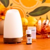 image:imageAura Cacia Cheerful Pure Essential Oils Uplifting Kit 025 fl oz 4Pack Grapefruit Lemon Lime Sweet Orange Aromatic OilsCitrus Burst