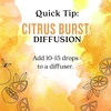 image:imageAura Cacia Cheerful Pure Essential Oils Uplifting Kit 025 fl oz 4Pack Grapefruit Lemon Lime Sweet Orange Aromatic OilsCitrus Burst