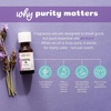 image:imageAura Cacia Cheerful Pure Essential Oils Uplifting Kit 025 fl oz 4Pack Grapefruit Lemon Lime Sweet Orange Aromatic OilsDiffusion Kit