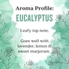 image:imageAura Cacia Cheerful Pure Essential Oils Uplifting Kit 025 fl oz 4Pack Grapefruit Lemon Lime Sweet Orange Aromatic OilsEucalyptus