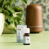 image:imageAura Cacia Cheerful Pure Essential Oils Uplifting Kit 025 fl oz 4Pack Grapefruit Lemon Lime Sweet Orange Aromatic OilsFresh Floral