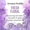 image:imageAura Cacia Cheerful Pure Essential Oils Uplifting Kit 025 fl oz 4Pack Grapefruit Lemon Lime Sweet Orange Aromatic OilsFresh Home Kit