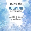 image:imageAura Cacia Cheerful Pure Essential Oils Uplifting Kit 025 fl oz 4Pack Grapefruit Lemon Lime Sweet Orange Aromatic OilsOcean Air