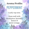 image:imageAura Cacia Cheerful Pure Essential Oils Uplifting Kit 025 fl oz 4Pack Grapefruit Lemon Lime Sweet Orange Aromatic OilsPeppermint