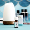 image:imageAura Cacia Cheerful Pure Essential Oils Uplifting Kit 025 fl oz 4Pack Grapefruit Lemon Lime Sweet Orange Aromatic OilsSpring Rain