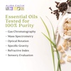 image:imageAura Cacia Eucalyptus Essential Oil 2 OunceCalming Lavender