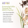 image:imageAura Cacia Frankincense RollOn  GCMS Tested for Purity  92ml 031 fl ozFrankincense