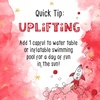 image:imageAura Cacia Kids Uplifting Bubble Bath 13 fl ozUplifting