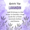 image:imageAura Cacia Lavandin Essential Oil 05 fl oz