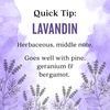 image:imageAura Cacia Lavandin Essential Oil 05 fl oz