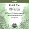 image:imageAura Cacia Organic Copaiba Essential Oil 025 fl oz