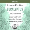 image:imageAura Cacia Organic Eucalyptus Radiata Essential Oil 025 fl oz