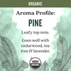 image:imageAura Cacia Organic Pine Essential Oil 025 fl oz