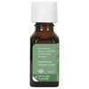 image:imageAura Cacia Pure Aromatherapy 100 Pure Essential Oil Sage Thought  Provoking 05Ounces Pack of 2