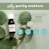 image:imageAura Cacia Pure Essential Oil Eucalyptus 05 Fluid Ounce05 Fl Oz Pack of 1