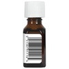 image:imageAura Cacia Pure Essential Oil Eucalyptus 05 Fluid Ounce05 Fl Oz Pack of 1