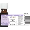 image:imageAura Cacia Purifying Medieval Mix Pure Essential Oil Blend No Synthetic Preservatives 05 Fluid Ounces Pack of 1
